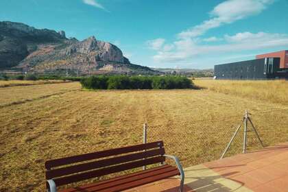 Percelen/boerderijen in Verger / Vergel, Alicante. 