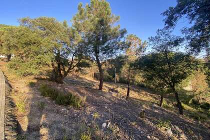 Urban plot for sale in Riera, La (Riudarenes), Girona. 