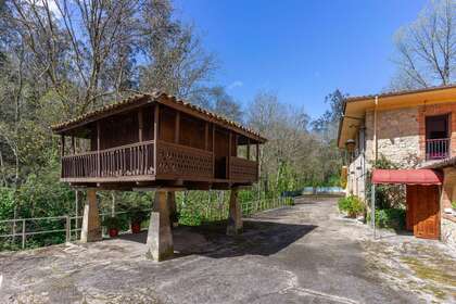 Flat in Villaviciosa, Asturias. 