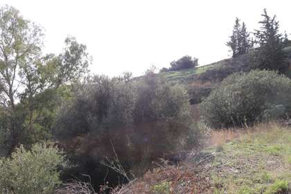 Terreno in Madrid. 