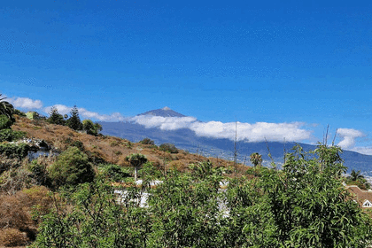 House for sale in Santa Ursula, Santa Cruz de Tenerife, Tenerife. 