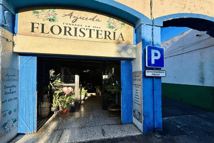 Commercial premise in Güímar, Santa Cruz de Tenerife, Tenerife. 