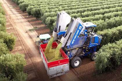 Landbouwgrond verkoop in Badajoz. 