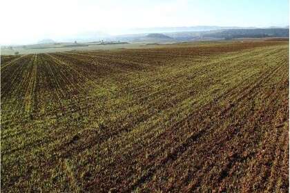 Landbouwgrond verkoop in Badajoz. 