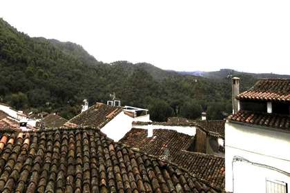vistas