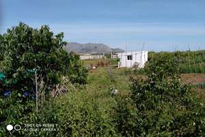 Landdistrikter / landbrugsjord til salg i Pedreguer, Alicante. 