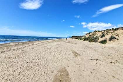 omgeving