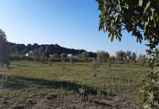 Ranch vendre en Paraje Los Huertecillos, Almonte, Huelva. 