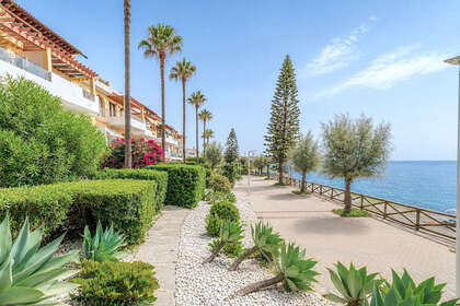 照片