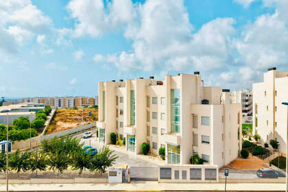 照片