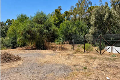照片