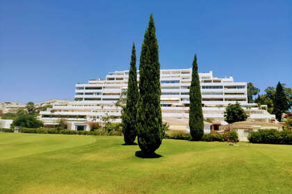 酒店公寓 出售 进入 Guadalmina, Málaga. 