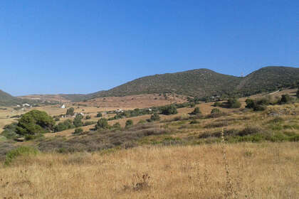 Plot for sale in Casares, Málaga. 