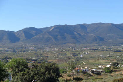 Ranch for sale in Alhaurín de la Torre, Málaga. 