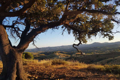 Plot for sale in Valtocado (Mijas), Málaga. 