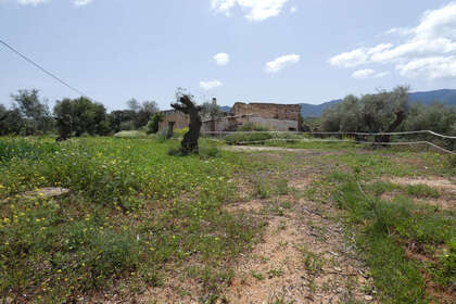 Ranch for sale in Alhaurín el Grande, Málaga. 