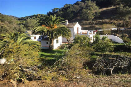 Ranch for sale in Casares, Málaga. 