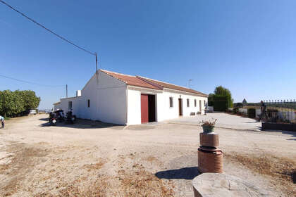 Ranch for sale in Ronda, Málaga. 