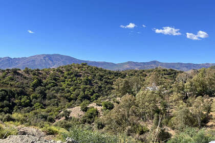 Plot for sale in Benalmádena, Málaga. 