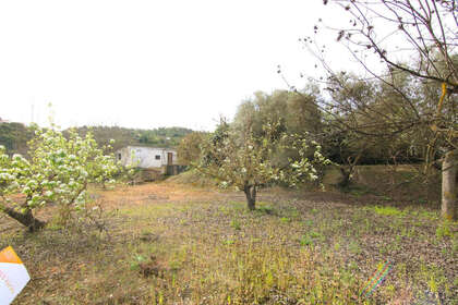 Plot for sale in Coín, Málaga. 