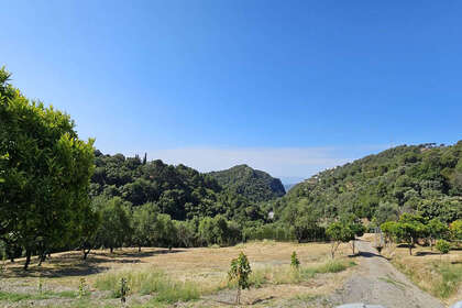 Plot for sale in Casares, Málaga. 