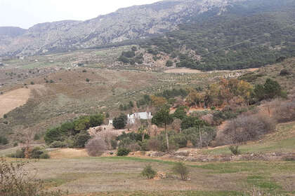 Ranch for sale in Casarabonela, Málaga. 