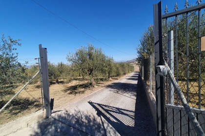 Plot for sale in Alhaurín el Grande, Málaga. 