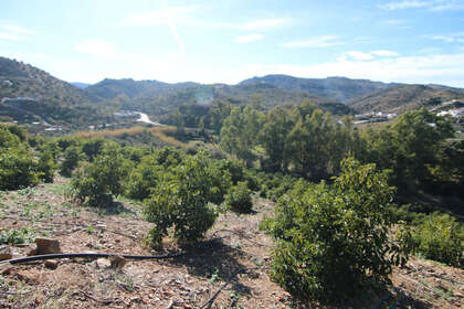 Plot for sale in Coín, Málaga. 