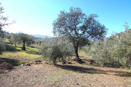 Plot for sale in Coín, Málaga. 