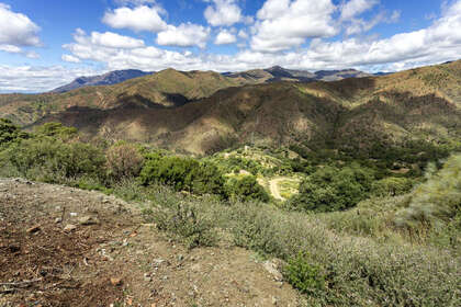 Plot for sale in Benahavís, Málaga. 