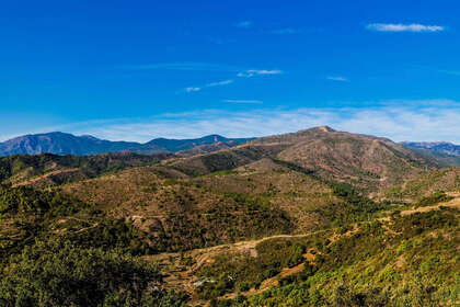 Plot for sale in Benahavís, Málaga. 