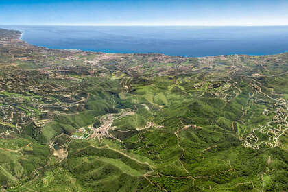 Plot for sale in Benahavís, Málaga. 