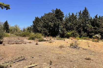 Plot for sale in Estepona, Málaga. 