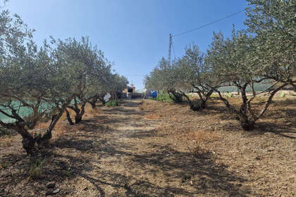 Plot for sale in Coín, Málaga. 