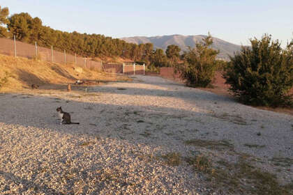 Plot for sale in Alhaurín el Grande, Málaga. 