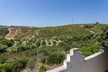 Plot for sale in Casares, Málaga. 