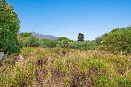 Plot for sale in Marbella, Málaga. 