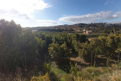 Plot for sale in Estepona, Málaga. 