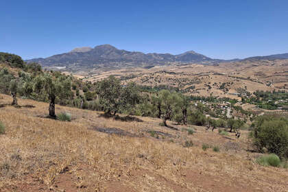 Plot for sale in Coín, Málaga. 