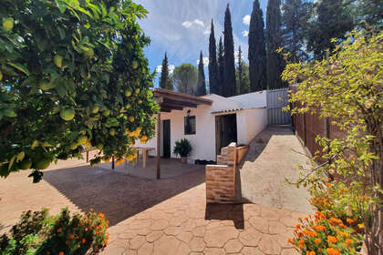 Ranch for sale in Alhaurín de la Torre, Málaga. 