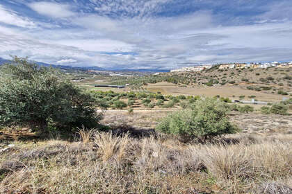 Plot for sale in Coín, Málaga. 