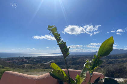 Penthouse for sale in Calahonda, Mijas, Málaga. 