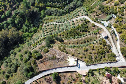 Ranch for sale in Alhaurín el Grande, Málaga. 