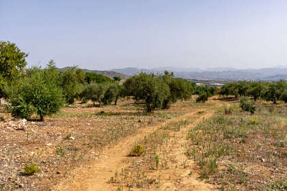 Plot for sale in Alhaurín de la Torre, Málaga. 