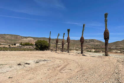 Plot for sale in Abanilla, Murcia. 