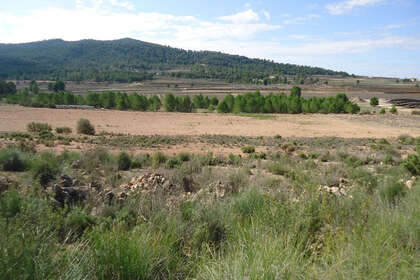 Plot for sale in Monóvar/Monòver, Alicante. 