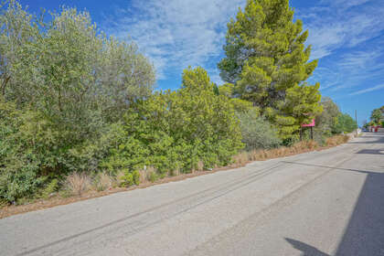 Plot for sale in Benissa, Alicante. 