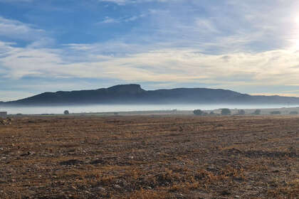 Plot for sale in Monóvar/Monòver, Alicante. 