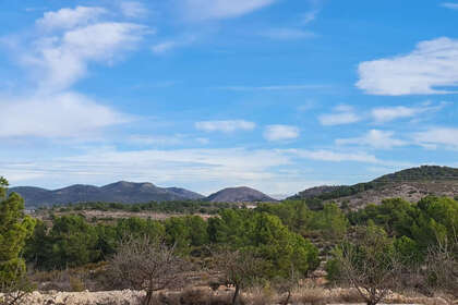 Plot for sale in Monóvar/Monòver, Alicante. 