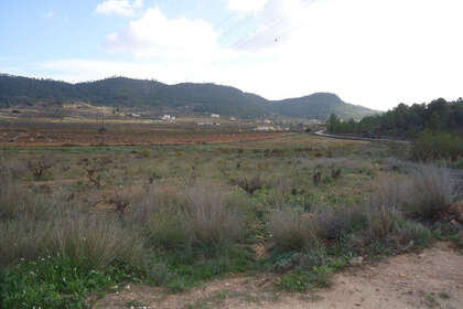 Plot for sale in Pinoso, Alicante. 